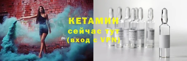 гидра Ахтубинск